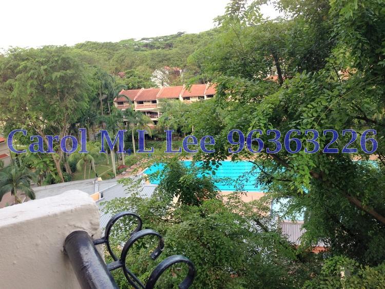 Sommerville Park (D10), Condominium #158794112